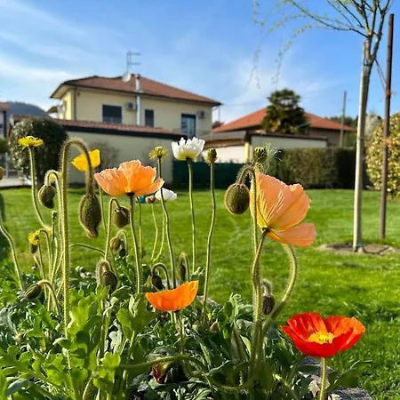 Apartment Casa Da Pina In Ricordo Della Mia Cara Mamma Angera