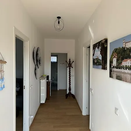 Casa Da Pina In Ricordo Della Mia Cara Mamma Apartment